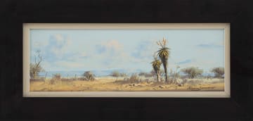 Francois Badenhorst; Aloes in Landscape