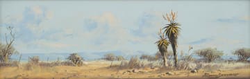 Francois Badenhorst; Aloes in Landscape