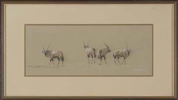 Kim Donaldson; Gemsbok