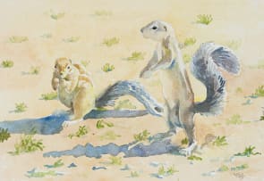 Zakkie Eloff; Ground Squirrels
