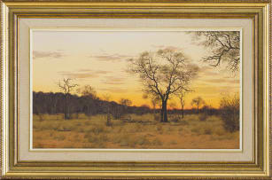 Johann Koch; Sunset Bushveld Scene