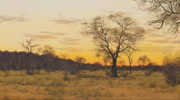 Johann Koch; Sunset Bushveld Scene