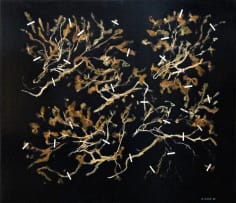 Gerhard Marx; Sightings