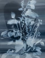Sanell Aggenbach; The Classic
