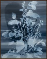 Sanell Aggenbach; The Classic