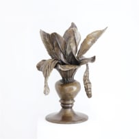 Shany van den Berg; My Vase Het Begin Groei I (My Vase has Started to Grow I)