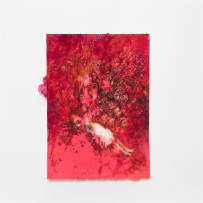 Penny Siopis; Warm World: Coral