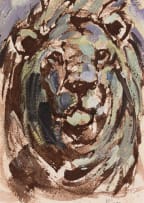 Hennie Niemann Jnr; Lion's Head