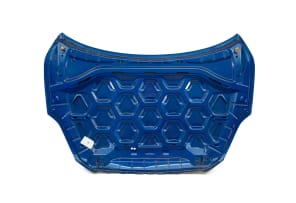 Frances Goodman; Untitled (Blue Car Bonnet)