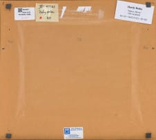 Hardy Botha; Mirror, Mirror