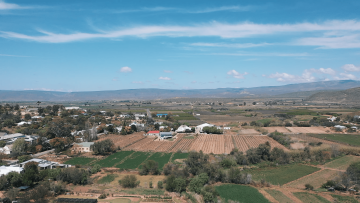 Boplaas; Strauss & Co Potstill Reserve; 2005 (17 Year Old); 3 (1 x 3); 750ml