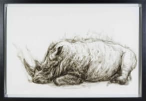 Diane Victor; Rhinoceros