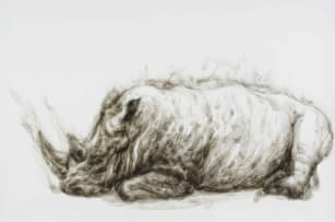 Diane Victor; Rhinoceros