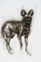 Diane Victor; Threatened Lives (Cape Hunting Dog)