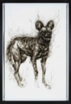 Diane Victor; Threatened Lives (Cape Hunting Dog)