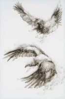 Diane Victor; Threatened Lives (Cape Vulture)