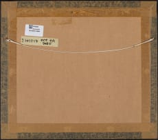 Diamond Bozas; Bushveld Scene