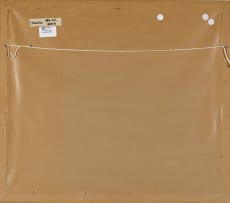 Hennie Niemann Jnr; Two Elephants