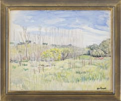Enslin du Plessis; The Fields