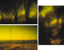 Ryan Hitchcock; Pata Pata - Miriam Makeba; Stimela - Hugh Masekela; Mbube - Solomon Linda and the Evening Birds, three