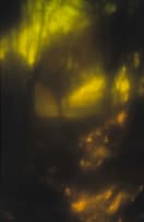 Ryan Hitchcock; Pata Pata - Miriam Makeba; Stimela - Hugh Masekela; Mbube - Solomon Linda and the Evening Birds, three