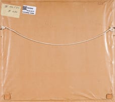 Robert Gwelo Goodman; Table Mountain