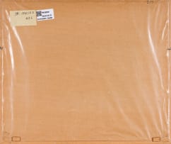 Robert Gwelo Goodman; Wild Coast Landscape