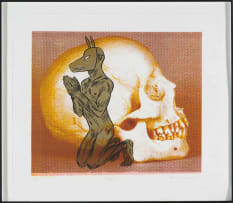 Conrad Botes; Beggar