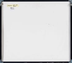 Conrad Botes; Beggar