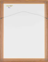 Conrad Botes; The Language of Irony