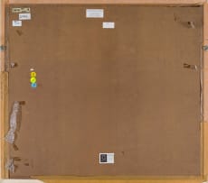 Norman Catherine; Racoon Ritual