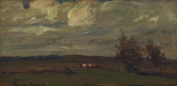 Adriaan Boshoff; Agricultural Landscape