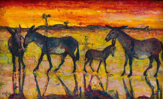 Zakkie Eloff; Donkeys