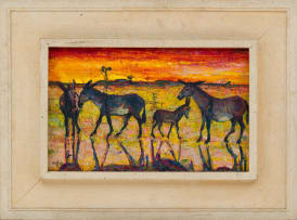 Zakkie Eloff; Donkeys