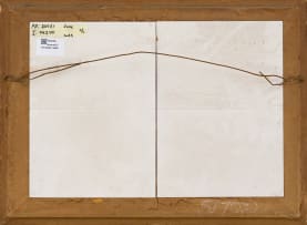 Zakkie Eloff; Donkeys