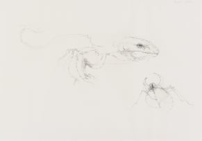 Judith Mason; Predator