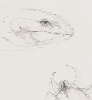 Judith Mason; Predator