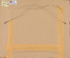 Willem Hermanus Coetzer; Karoo Koppie