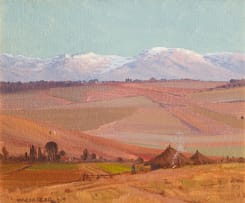 Willem Hermanus Coetzer; Karoo Landscape