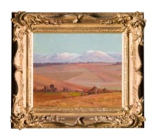 Willem Hermanus Coetzer; Karoo Landscape