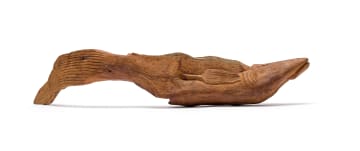 Jackson Hlungwani; Swimming Fish