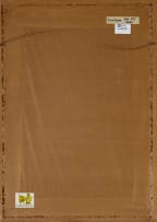 Lucky Sibiya; Mabatha is King