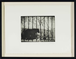 William Kentridge; Zeno Writing, nine