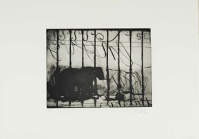 William Kentridge; Zeno Writing, nine