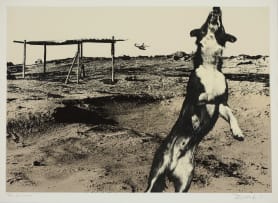 Jo Ratcliffe; Nadir 6