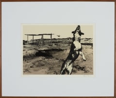 Jo Ratcliffe; Nadir 6