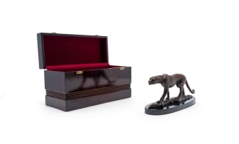 Donald Greig; Cheetah Stalking