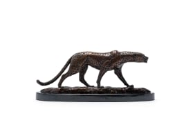 Donald Greig; Cheetah Stalking