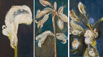 Bronwen Findlay; Lily Series, three