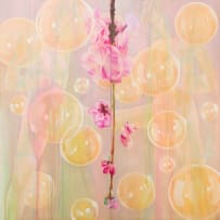 Tracy Payne; Blossoms, Bubbles and Bondage II, diptych